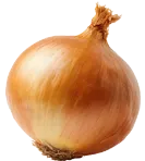 Onion Image